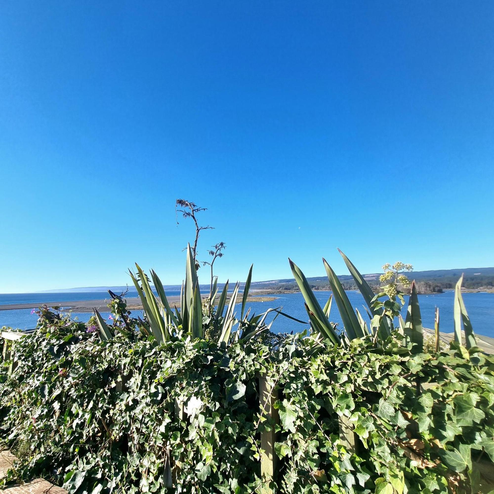 Max & Mar Pichilemu Пичилему Екстериор снимка